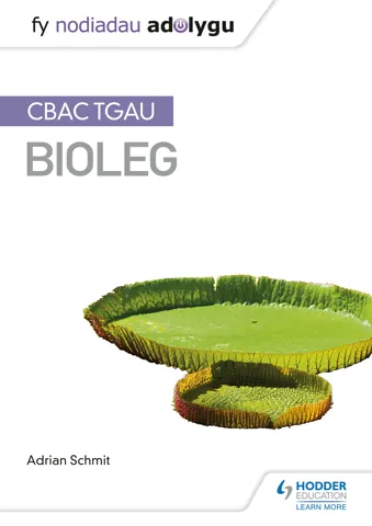 Fy Nodiadau Adolygu: CBAC TGAU Bioleg (My Revision Notes: WJEC GCSE Biology, Welsh-language Edition)