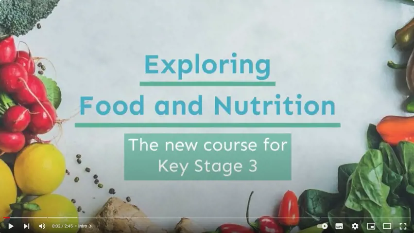 Exploring Food and Nutrition Video